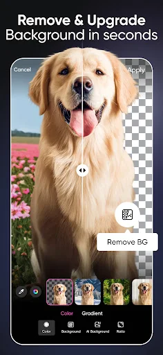 Picsart AI Photo Editor डाउनलोड करें – सर्वश्रेष्ठ फोटो और वीडियो एडिटिंग ऐप - Screenshot 4