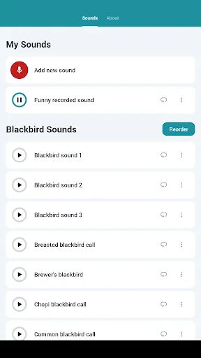 Blackbird Sounds डाउनलोड करें – प्रकृति की मधुर धुनें मुफ्त में - Screenshot 11