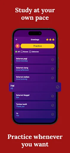 Learn Indonesian – Beginners ऐप डाउनलोड करें – तेजी से सीखें - Screenshot 3
