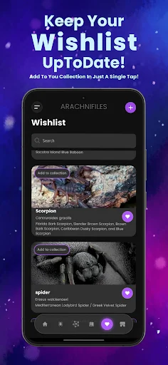 Arachnifiles: Pet Tracker डाउनलोड करें – स्पाइडर केयर का सर्वश्रेष्ठ ऐप - Screenshot 6