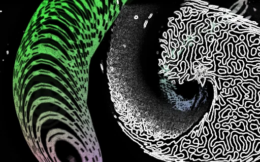 Audio Visualizer Extension डाउनलोड करें – म्यूज़िक को विज़ुअलाइज़ करें - Screenshot 5
