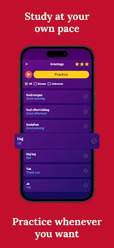 Learn Danish – Beginners ऐप डाउनलोड करें – डेनिश सीखें मुफ्त - Screenshot 3
