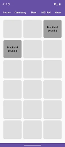 Blackbird Sounds डाउनलोड करें – प्रकृति की मधुर धुनें मुफ्त में - Screenshot 5