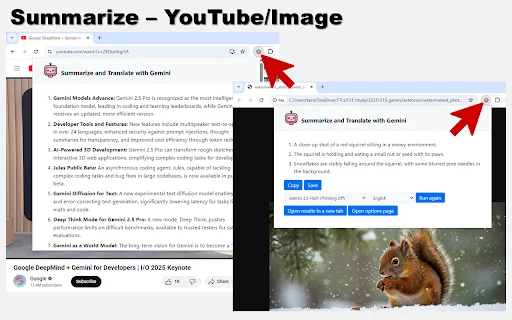 Summarize and Translate with Gemini डाउनलोड करें – AI टूल - Screenshot 2
