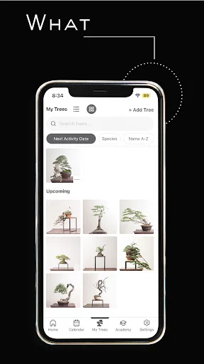 Mirai Mobile डाउनलोड करें – बेहतरीन बोन्साई गाइड और टिप्स - Screenshot 3