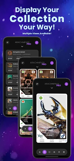 Arachnifiles: Pet Tracker डाउनलोड करें – स्पाइडर केयर का सर्वश्रेष्ठ ऐप - Screenshot 3