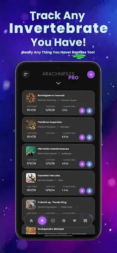 Arachnifiles: Pet Tracker डाउनलोड करें – स्पाइडर केयर का सर्वश्रेष्ठ ऐप - Screenshot 1