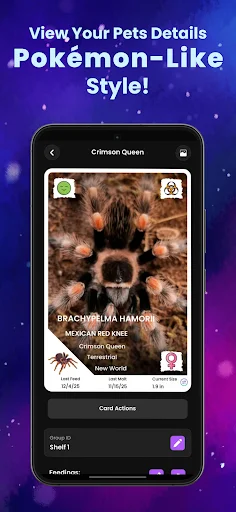 Arachnifiles: Pet Tracker डाउनलोड करें – स्पाइडर केयर का सर्वश्रेष्ठ ऐप - Screenshot 4