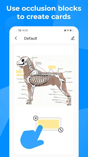 Knowlet – फ्लैशकार्ड्स के साथ सीखें और परीक्षा में पाएं उच्च अंक - Screenshot 8