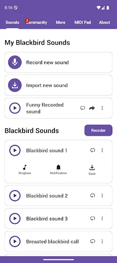 Blackbird Sounds डाउनलोड करें – प्रकृति की मधुर धुनें मुफ्त में - Screenshot 1