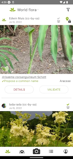 PlantNet Plant Identification डाउनलोड करें – पौधों की सटीक पहचान - Screenshot 4