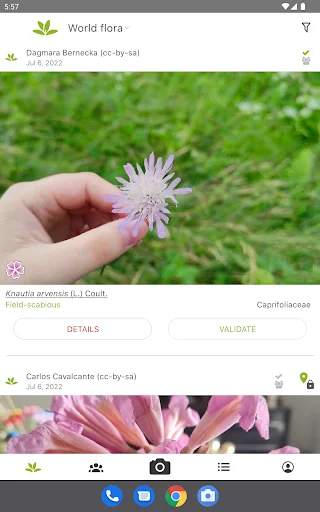PlantNet Plant Identification डाउनलोड करें – पौधों की सटीक पहचान - Screenshot 8