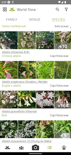 PlantNet Plant Identification डाउनलोड करें – पौधों की सटीक पहचान - Screenshot 3